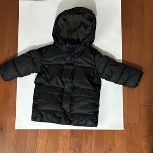 GAP P.U.R.E  Toddler Puffer Jacket with Hood